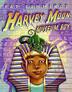 Cover art for HARVEY MOON, MUSEUM BOY