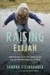 Cover art for RAISING ELIJAH