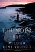 Cover art for THUNDER BAY