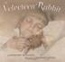 Cover art for THE VELVETEEN RABBIT