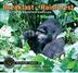 Cover art for BREAKFAST IN THE RAINFOREST