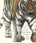 Cover art for CAN WE SAVE THE TIGER?
