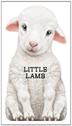 Cover art for LITTLE LAMB