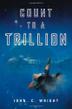Cover art for COUNT TO A TRILLION