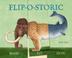 Cover art for FLIP-O-STORIC