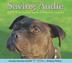 Cover art for SAVING AUDIE
