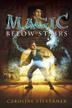 Cover art for MAGIC BELOW STAIRS