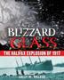 Cover art for BLIZZARD OF GLASS