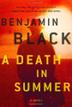 Cover art for A DEATH IN SUMMER