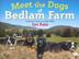 Cover art for MEET THE DOGS OF BEDLAM FARM