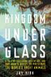 Cover art for KINGDOM UNDER GLASS