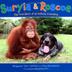 Cover art for SURYIA & ROSCOE