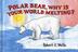 Cover art for POLAR BEAR, WHY IS YOUR WORLD MELTING?