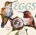 Cover art for EGGS