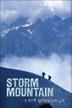 Cover art for STORM MOUNTAIN