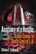 Cover art for ANATOMY OF A HUSTLE