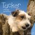 Cover art for TUCKER