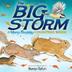 Cover art for THE BIG STORM