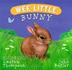 Cover art for WEE LITTLE BUNNY