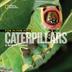 Cover art for FACE TO FACE WITH CATERPILLARS