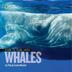 Cover art for FACE TO FACE WITH WHALES