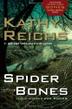 Cover art for SPIDER BONES