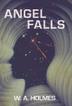 Cover art for ANGEL FALLS