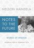 Cover art for NOTES TO THE FUTURE