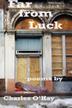 Cover art for FAR FROM LUCK