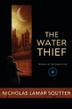 Cover art for THE WATER THIEF