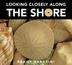 Cover art for LOOKING CLOSELY ALONG THE SHORE