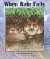 Cover art for WHEN RAIN FALLS