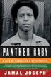 Cover art for PANTHER BABY