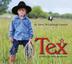 Cover art for TEX