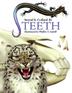 Cover art for TEETH