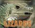 Cover art for SNEED B. COLLARD III'S MOST FUN BOOK EVER ABOUT LIZARDS