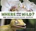 Cover art for WHERE ELSE IN THE WILD?