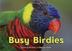 Cover art for BUSY BIRDIES