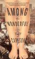 Cover art for AMONG THE WONDERFUL
