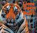 Cover art for LIONS TIGERS AND BEARS