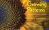 Cover art for GROWING PATTERNS