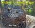 Cover art for MYSTERIES OF THE KOMODO DRAGON