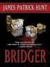 Cover art for BRIDGER