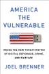 Cover art for AMERICA THE VULNERABLE