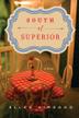 Cover art for SOUTH OF SUPERIOR
