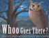 Cover art for WHOO GOES THERE? 