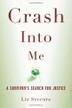 Cover art for CRASH INTO ME