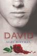 Cover art for DAVID