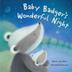 Cover art for BABY BADGER'S WONDERFUL NIGHT