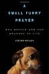 Cover art for A SMALL FURRY PRAYER